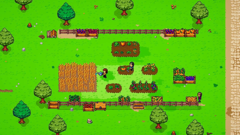 https://images.2game.com/screenshot/to-pixelia-buy-cdkey-full-19.jpg